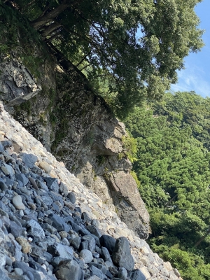 HACHI(ﾊﾁ) 自分のプチ地元自慢✨