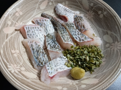 KOYOI(ｺﾖｲ) 完成