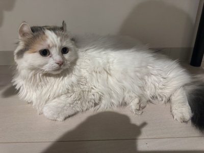 YUMA(ﾕｳﾏ) 11月もラスト✌️