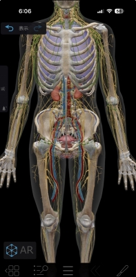 ARASHI(ｱﾗｼ) 【写真に一言】