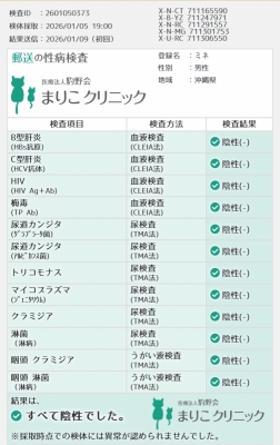 MINE(ﾐﾈ) 性病検査異常なし