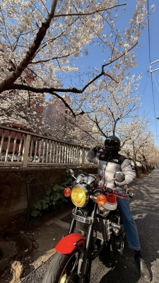 ARASHI(ｱﾗｼ) 【本日のご案内】