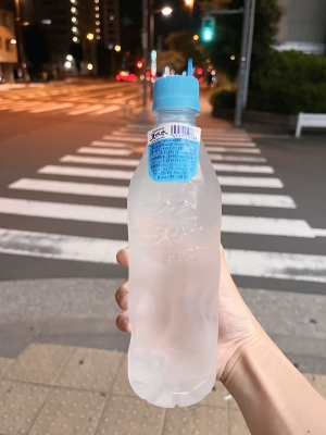 MERU(ﾒﾙ) 初めて見た！