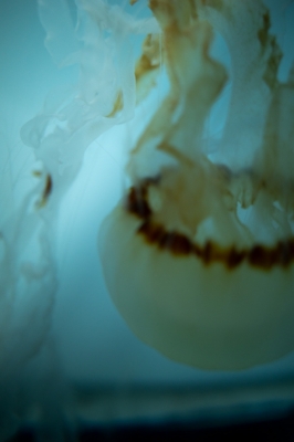 KANNA(ｶﾝﾅ) 「触れる前に大切にしていること」