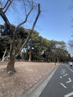 KAZUKI(ｶｽﾞｷ) ランニング🏃