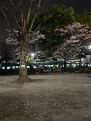 MISAKA(ﾐｻｶ) 今日からイベント