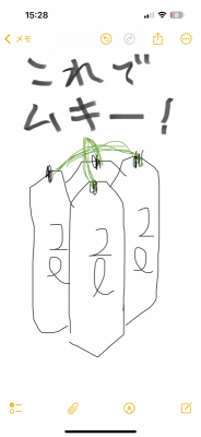 SOUP(スープ) 筋すーぷ