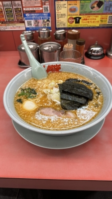 SHINA(ｼｲﾅ) ラーメンの山岡家〜