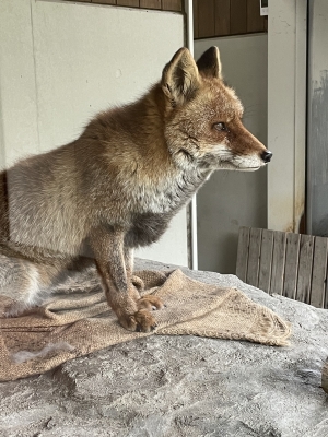 SAWA(サワ) 出勤時間追加してます🫣