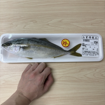 SOUP(ｽｰﾌﾟ) わかしすーぷ