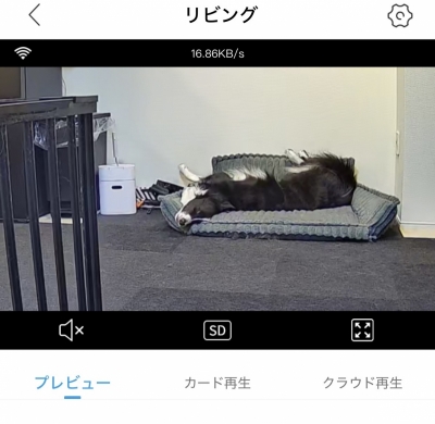 ATSUMU（ｱﾂﾑ） お留守番カメラ