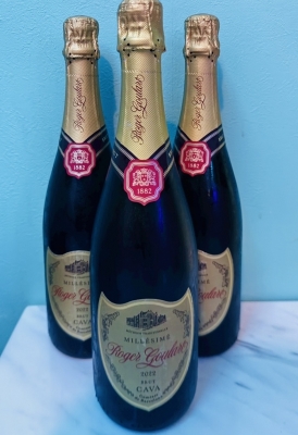 TOSHI(ﾄｳｼ) 🍾一撃300000OVER🍾