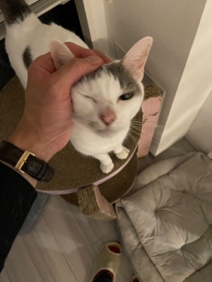 MINORI(ﾐﾉﾘ) 癒し🐈