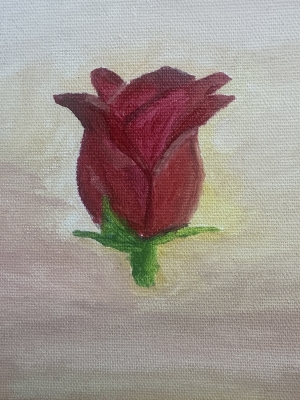 RUKIYA(ﾙｷﾔ) 11月ありがとうございました🌹