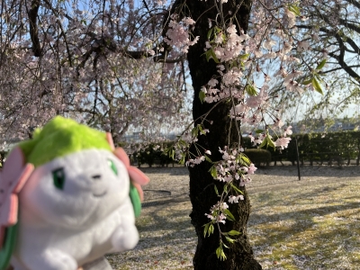 KISUMI(ｷｽﾐ) 見つけて欲しい