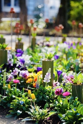 YAMATO(ﾔﾏﾄ) 春🌱