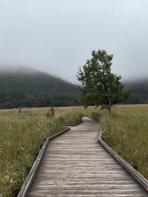 MASH(マッシュ) タデ原湿原 in大分一人旅