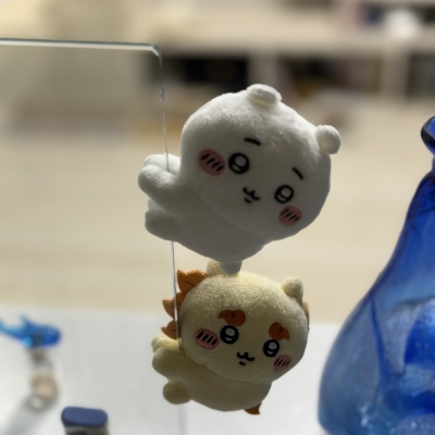 HIDAKA(ﾋﾀﾞｶ) 【たまには日常を、、】