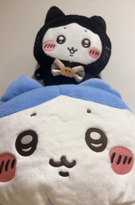 KAITO(ｶｲﾄ) NEW✨