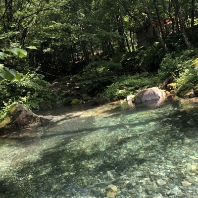 MINATO(ﾐﾅﾄ) 夏を先取り 🌿