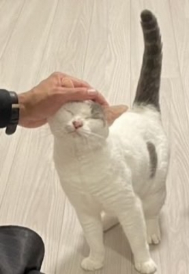 MINORI(ﾐﾉﾘ) ねぇ見て