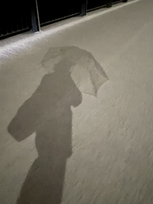 RINKO(ﾘﾝｺ) ☃️雪が降ると