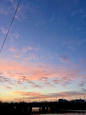 HARUMI(ハルミ) 花火大会