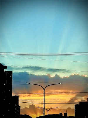 YUU(ﾕｳ) こんばんは、ユウです🌙