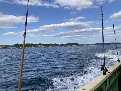 MIFUYU(ﾐﾌﾕ) フィッシング🎣