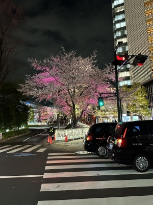 MUSASHI(ﾑｻｼ) 桜といえば何の曲？