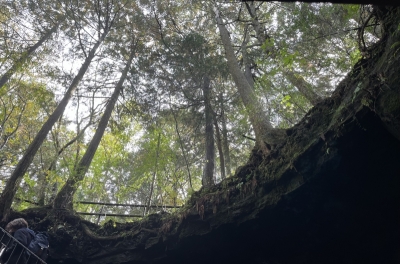 SHINNOSUKE(シンノスケ) 森林浴