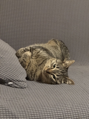 HYO(ﾋｮｳ) 範馬勇次郎