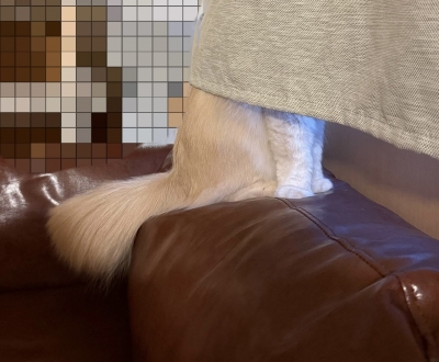 BOSS(ﾎﾞｽ) (^ට ‧̫ ට^)੭