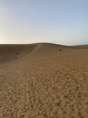 MASH(ﾏｯｼｭ) 鳥取砂丘　in鳥取