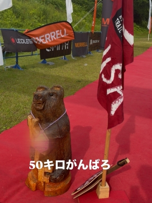RYOICHIRO(ﾘｮｳｲﾁﾛｳ) トレラン50キロ