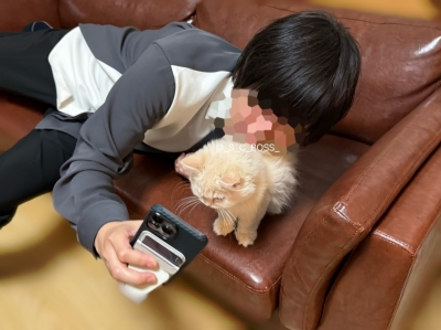 BOSS(ﾎﾞｽ) (^ට ‧̫ ට^)੭