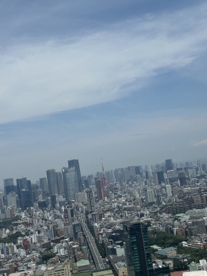 RURITO(ﾙﾘﾄ) 🗼