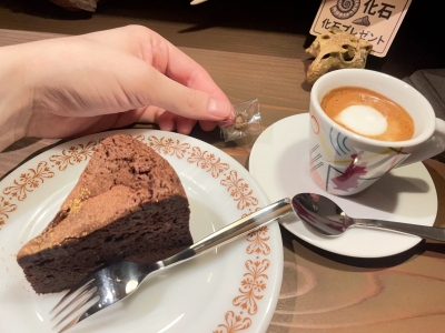 SYUNSUI(ｼｭﾝｽｲ) 化石っていいですよね