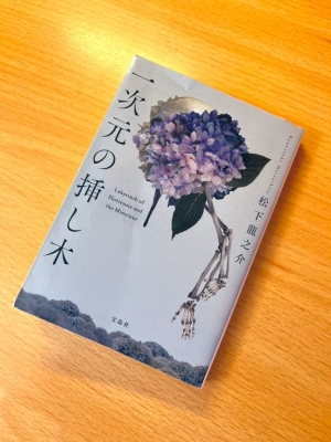 NINA（ﾆｲﾅ） 1次元の挿し木