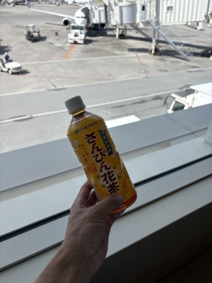 MASH(ﾏｯｼｭ) 旅のお供！
