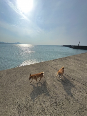 YAMATO(ﾔﾏﾄ) 本日より出勤✨