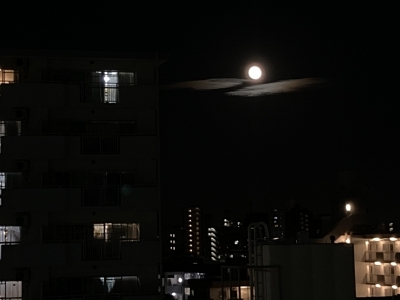 CHIAKI(ﾁｱｷ) 15夜の望月