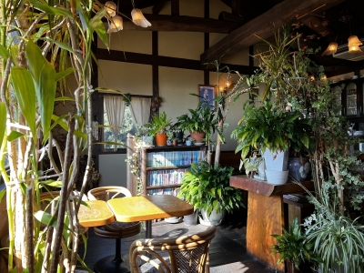 AOI （アオイ） 1/27空き状況