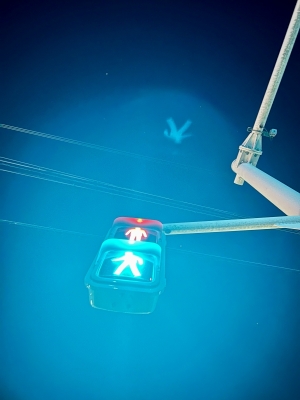 GION（ｷﾞｵﾝ） 🩵