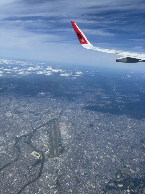 HANZO（ﾊﾝｿﾞｰ） 台風