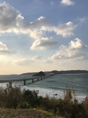 TANJI(タンジ) 角島✨