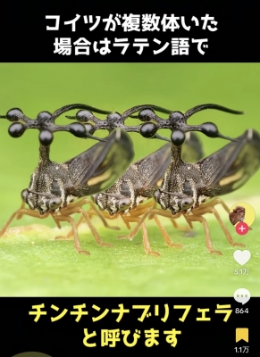 TOYUNG(トユン) 写メ日記だからこそ