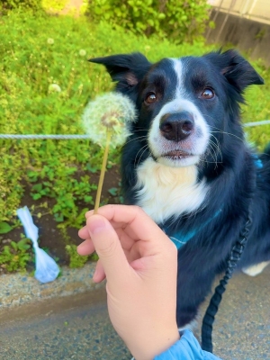 ATSUMU(アツム) DM機能の不具合