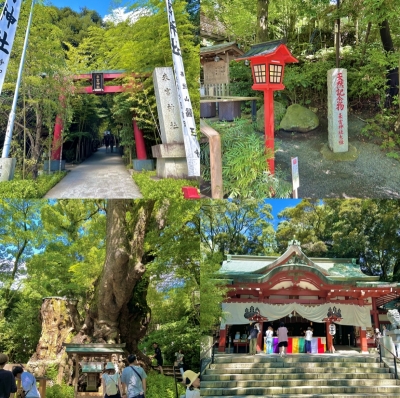 KONOSUKE(ｺｳﾉｽｹ) 樹齢二千年の御神木がある来宮神社