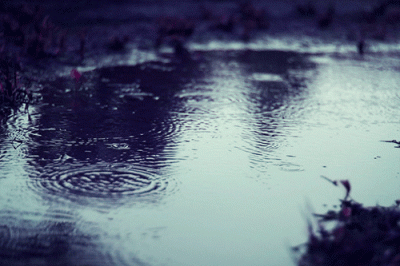 HOKUTO(ﾎｸﾄ) 雨…🥲‎